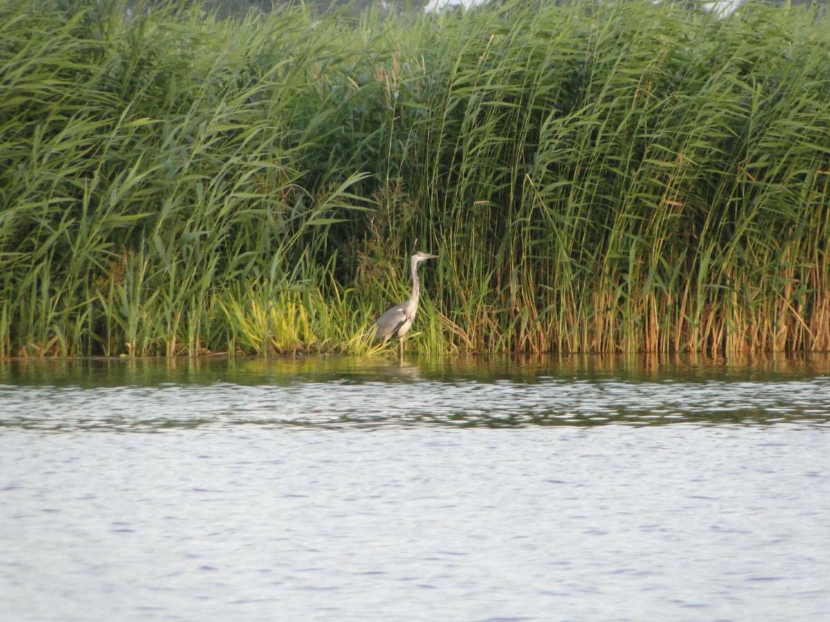 Zacisze Domki Letniskowe Karsibor Svinoústí Exteriér fotografie