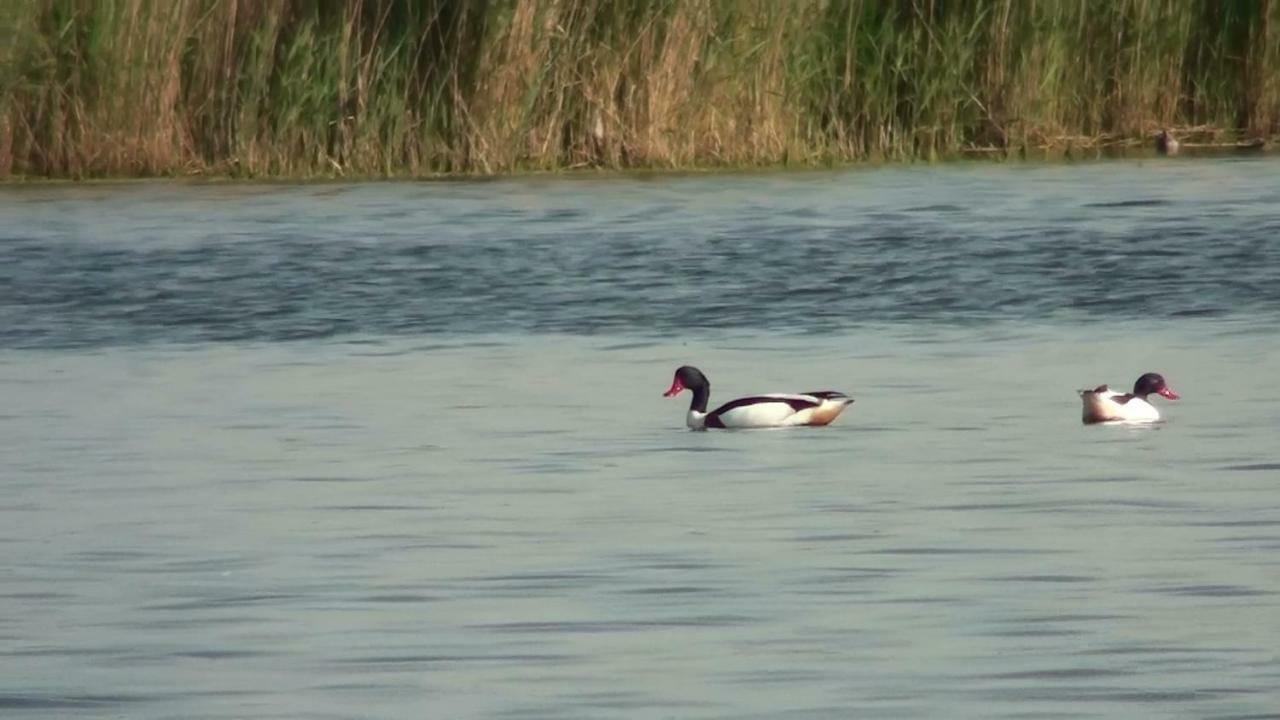 Zacisze Domki Letniskowe Karsibor Svinoústí Exteriér fotografie