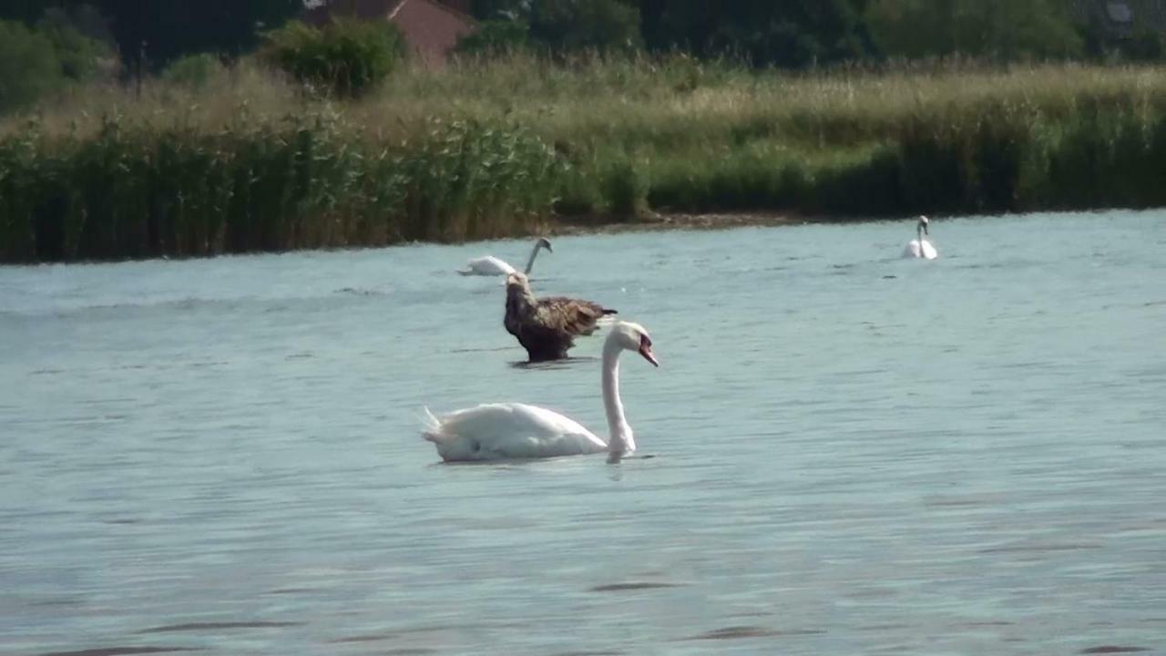 Zacisze Domki Letniskowe Karsibor Svinoústí Exteriér fotografie