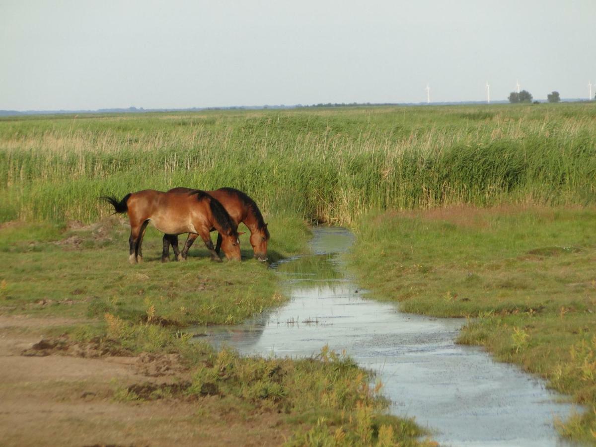 Zacisze Domki Letniskowe Karsibor Svinoústí Exteriér fotografie